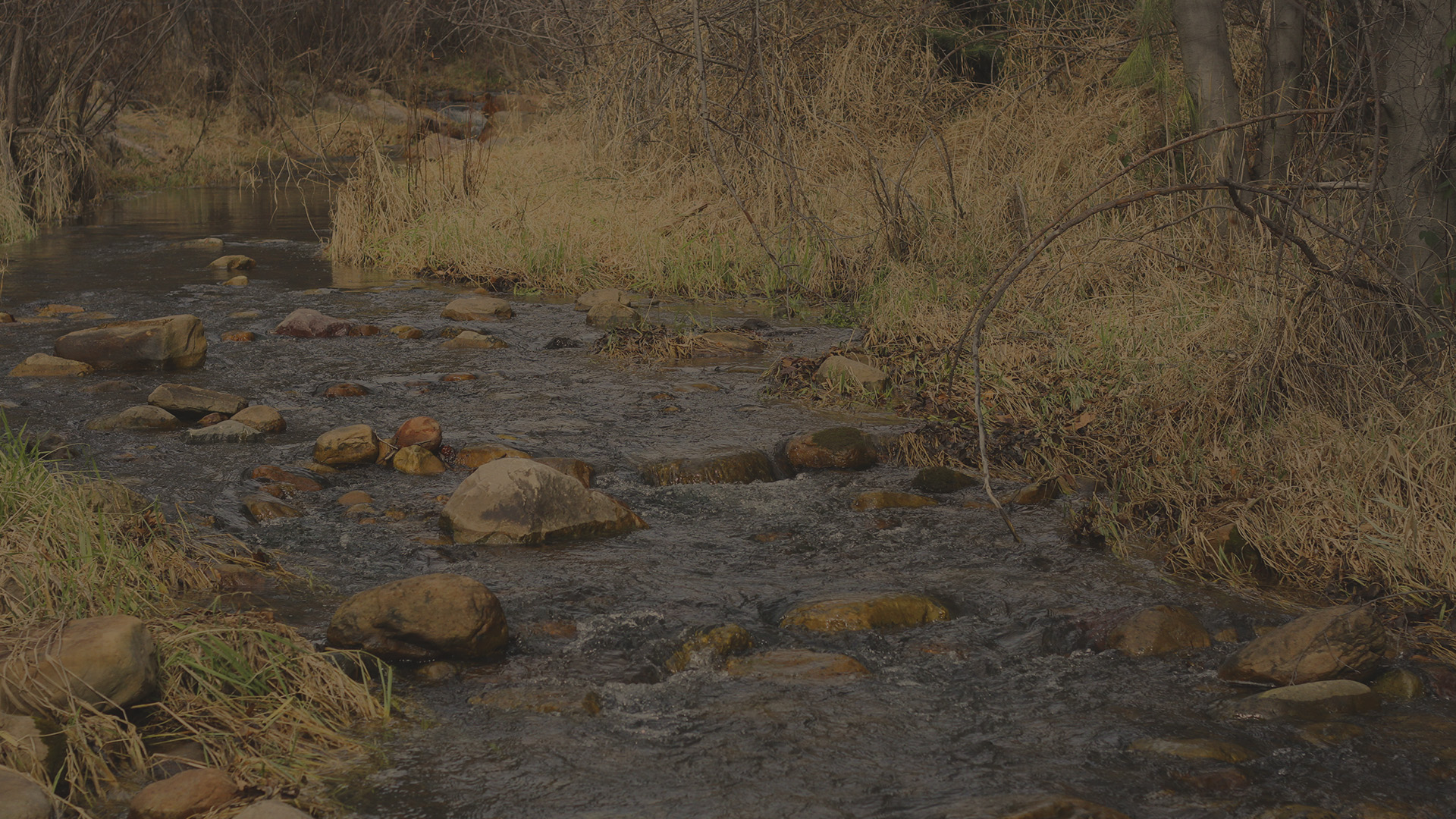 connection with nature